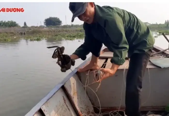 Cà Ra Là Con Gì? Nguồn Gốc, Đặc Điểm Và Những Điều Chưa Kể Cà Ra Là Con Gì? Nguồn Gốc, Đặc Điểm Và Những Điều Chưa Kể