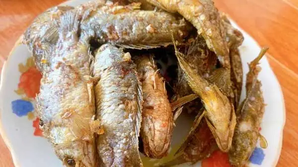 Đánh Giá Chi Tiết Cá Rô Đồng Chiên Nước Mắm: Top 5 Biến Tấu Hấp Dẫn Nhất Cho Bữa Cơm Gia Đình