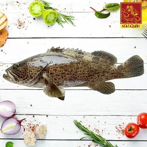 So Sánh Cá Song Và Cá Mú: Đâu Là Lựa Chọn Tốt Nhất Cho Bữa Ăn Của Bạn?
