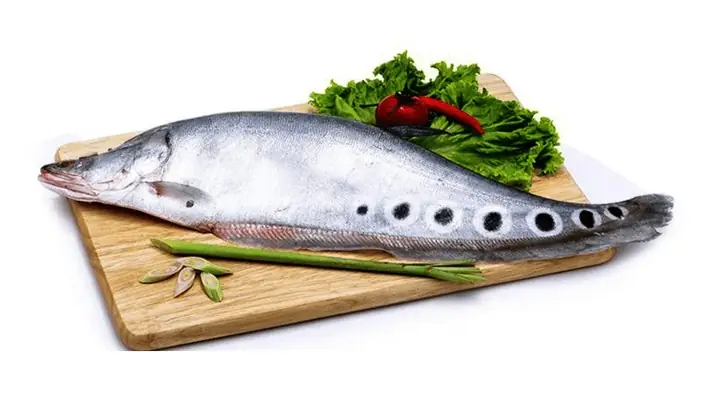 Cá Thác Lác Nước Ngọt Hay Mặn? So Sánh Chi Tiết Và Kinh Nghiệm Chọn Mua