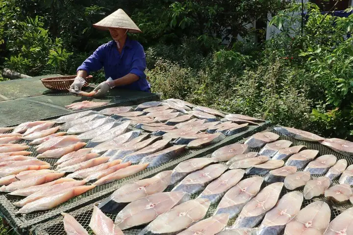 Cá Thu Phấn 1 Nắng: Giá Trị Dinh Dưỡng Và Cách Chế Biến Thơm Ngon