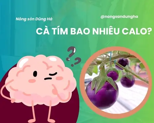 Cà Tím Nướng Mỡ Hành Bao Nhiêu Calo? Giải Đáp Chi Tiết Và Bí Quyết Thưởng Thức Lành Mạnh
