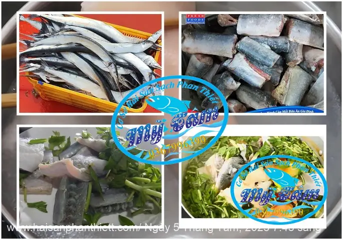 Đánh Giá Chi Tiết Cá Xương Xanh 1 Nắng: Top 5 Lựa Chọn Thơm Ngon, Bổ Dưỡng Nhất