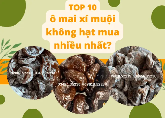 Các Loại Ô Mai Xí Muội Ngon, Bán Chạy Nhất Thị Trường Hiện Nay Các Loại Ô Mai Xí Muội Ngon, Bán Chạy Nhất Thị Trường Hiện Nay