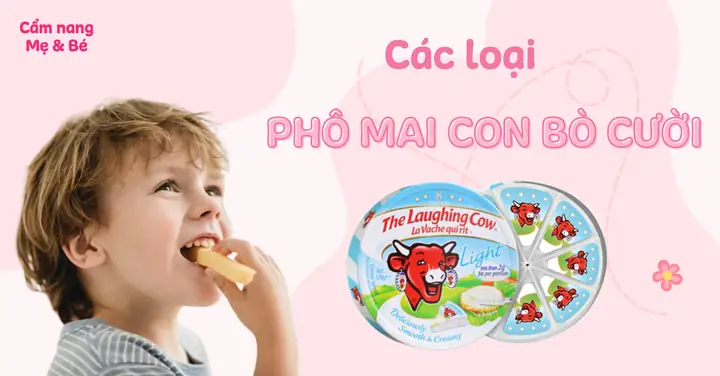 Khám Phá Các Loại Phô Mai Con Bò Cười Ngon, Bổ Dưỡng Cho Cả Gia Đình