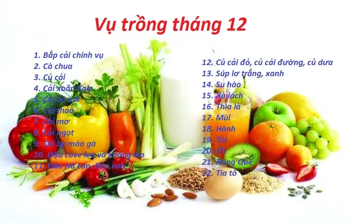 Khám Phá Các Loại Rau Theo Mùa: Lợi Ích Thiết Thực Và Hướng Dẫn Sử Dụng