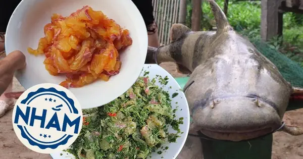 Khám Phá Hương Vị Quê Nhà Qua Các Món Cá Chiên Sông Đà