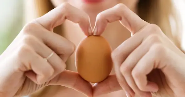 Các Món Giảm Cân Từ Trứng: 15+ Công Thức Đơn Giản, Hiệu Quả Cho Người Bận Rộn