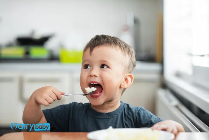 Các Món Mặn Cho Bé Tập Ăn Cơm: Top 15 Công Thức Dinh Dưỡng Và An Toàn
