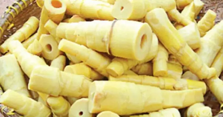 Các Món Ngon Từ Măng Tươi: Danh Sách 15+ Công Thức Hấp Dẫn Và Hướng Dẫn Sơ Chế An Toàn