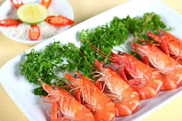 Khám Phá 15+ Món Ngon Với Sữa Tươi: Từ Món Tráng Miệng Đến Bữa Sáng Dinh Dưỡng