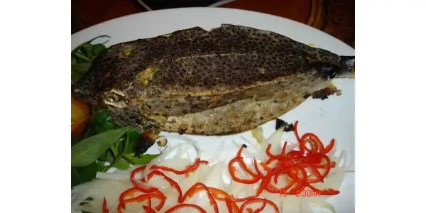 Khám Phá Các Món Nhậu Độc Đáo: Thỏa Mãn Đam Mê Ẩm Thực Đường Phố