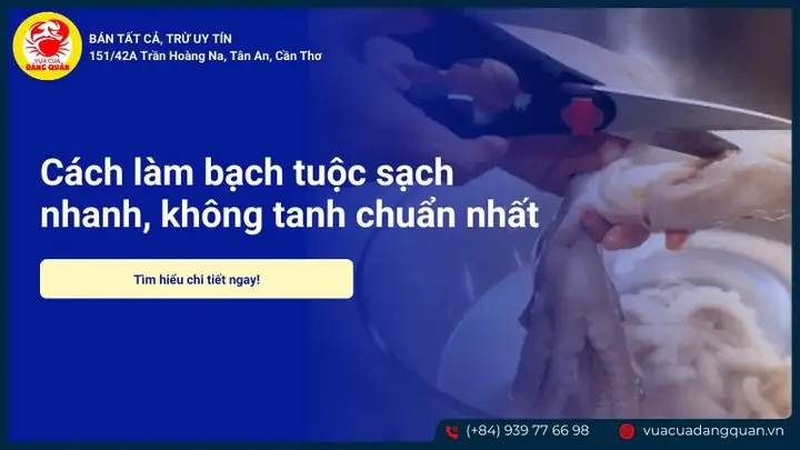 Ăn Bạch Tuộc Sống: Hướng Dẫn Chi Tiết Và Những Điều Cần Biết