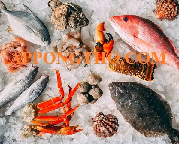 Các Cách Bảo Quản Tôm Đã Nấu Chín Chuẩn Nhất, Giữ Nguyên Hương Vị Các Cách Bảo Quản Tôm Đã Nấu Chín Chuẩn Nhất, Giữ Nguyên Hương Vị
