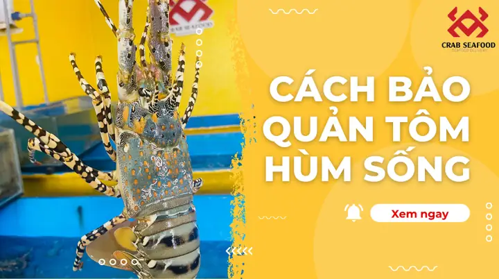 Các Cách Bảo Quản Tôm Đã Nấu Chín Chuẩn Nhất, Giữ Nguyên Hương Vị