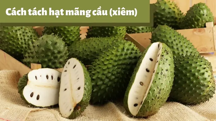 Cách Bỏ Hạt Mãng Cầu Nhanh Và Đơn Giản Tại Nhà