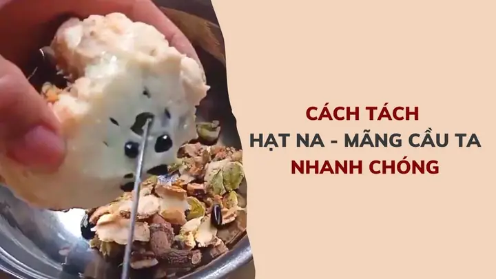 Cách Bỏ Hạt Mãng Cầu Nhanh Và Đơn Giản Tại Nhà