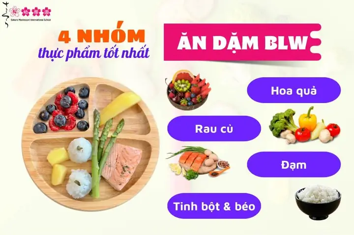 Cách Chế Biến Ăn Dặm Blw Chi Tiết Từ A-z Cho Mẹ Mới Bắt Đầu Cách Chế Biến Ăn Dặm Blw Chi Tiết Từ A-z Cho Mẹ Mới Bắt Đầu