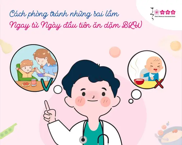 Cách Chế Biến Ăn Dặm Blw Chi Tiết Từ A-z Cho Mẹ Mới Bắt Đầu Cách Chế Biến Ăn Dặm Blw Chi Tiết Từ A-z Cho Mẹ Mới Bắt Đầu
