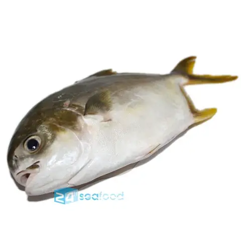 Cách Chế Biến Cá Chim Vàng Anh Ngon Chuẩn Vị Nhà Hàng