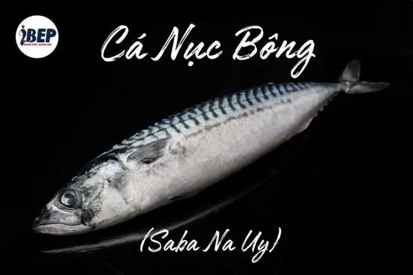Các Cách Chế Biến Cá Nục Đông Lạnh Thơm Ngon, Bổ Dưỡng Tại Nhà