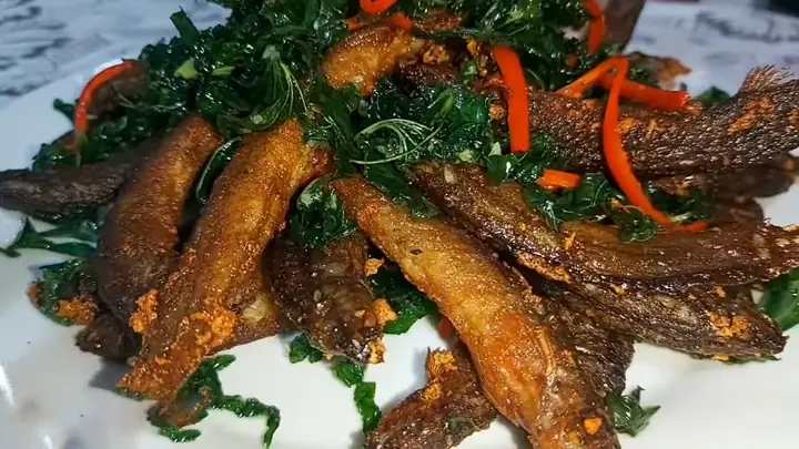 Cách Chế Biến Chạch Chấu Ngon Chuẩn Vị Quê Hương Cách Chế Biến Chạch Chấu Ngon Chuẩn Vị Quê Hương