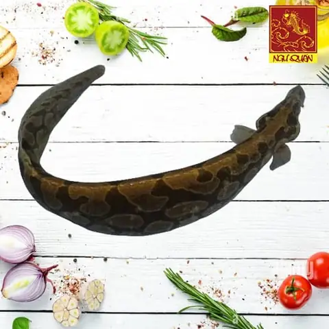 Cách Chế Biến Chạch Chấu Ngon Chuẩn Vị Quê Hương Cách Chế Biến Chạch Chấu Ngon Chuẩn Vị Quê Hương
