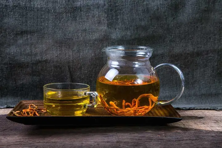 Cách Chế Biến Đông Trùng Hạ Thảo Tươi Đúng Chuẩn Dinh Dưỡng