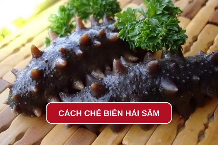 Các Cách Chế Biến Hải Sâm Tươi Thơm Ngon, Bổ Dưỡng Tại Nhà