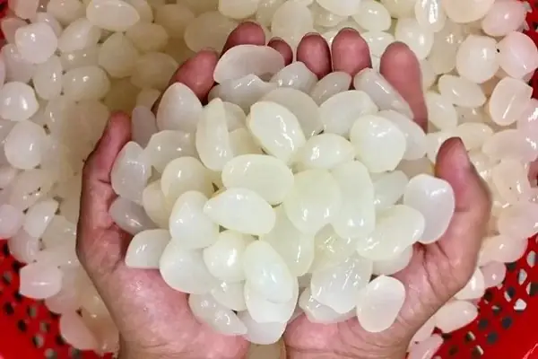 Các Cách Chế Biến Hạt Đác Tươi Ngon, Đơn Giản Tại Nhà