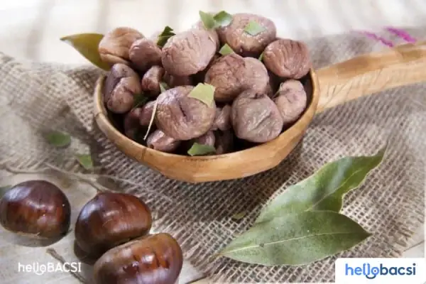 Các Cách Chế Biến Hạt Dẻ Ngon Và Bổ Dưỡng Nhất Cho Thực Đơn Gia Đình Các Cách Chế Biến Hạt Dẻ Ngon Và Bổ Dưỡng Nhất Cho Thực Đơn Gia Đình