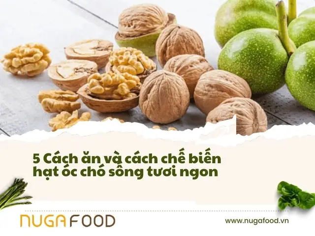 15+ Cách Chế Biến Món Ăn Từ Quả Óc Chó Ngon, Đơn Giản Tại Nhà 15+ Cách Chế Biến Món Ăn Từ Quả Óc Chó Ngon, Đơn Giản Tại Nhà