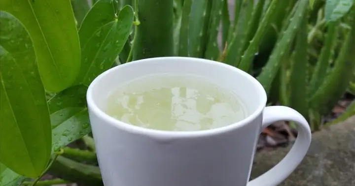 Cách Chế Biến Nha Đam Để Uống
