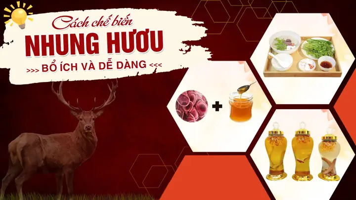 Các Cách Chế Biến Nhung Hươu Bổ Dưỡng Và An Toàn Cho Sức Khỏe