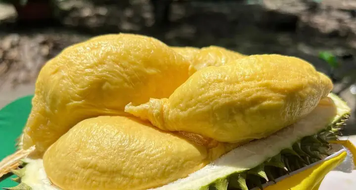 Cách Chế Biến Sầu Riêng Ngon: Hướng Dẫn Chi Tiết Từ A Đến Z Cho Người Mới