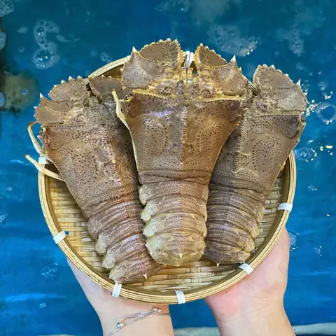 Cách Chế Biến Tôm Mũ Ni Ngon Chuẩn Nhà Hàng