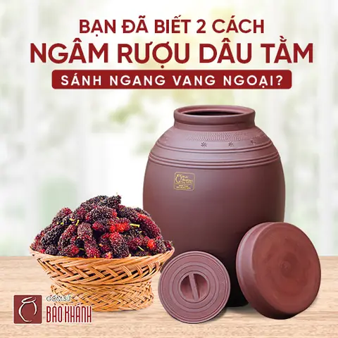 Cách Dầm Rượu Dâu Tằm Chuẩn Vị, Thơm Ngon Tại Nhà