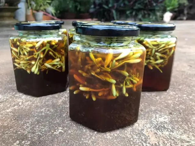 Cách Dùng Hoa Đu Đủ Đực Ngâm Mật Ong Đúng Chuẩn Và Hiệu Quả Nhất