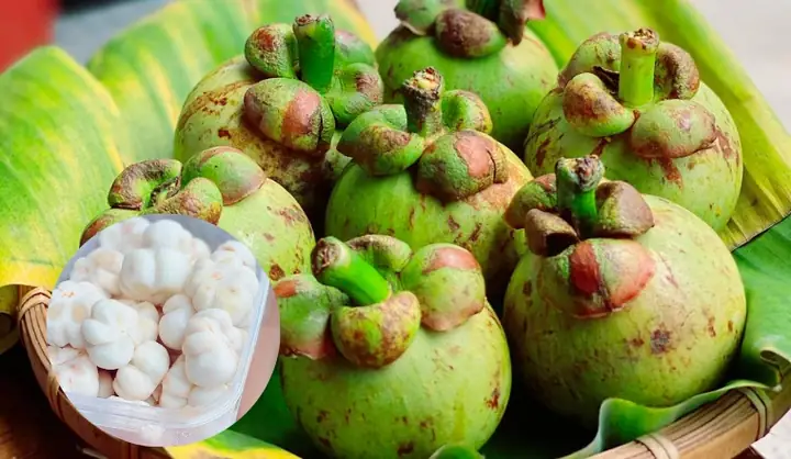 Cách Gọt Măng Cụt Xanh Chuẩn Xác, Dễ Thực Hiện Tại Nhà