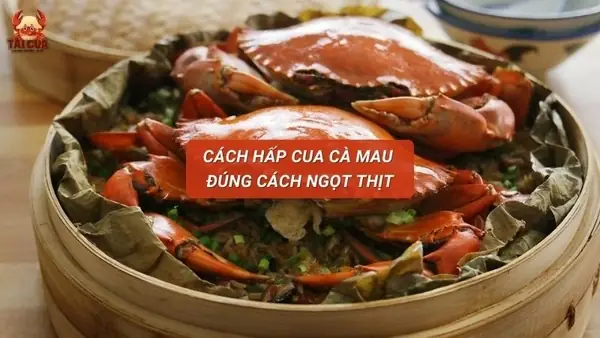 Cách Hấp Cua Cà Mau Ngon Chuẩn Vị, Giữ Nguyên Độ Ngọt Thịt