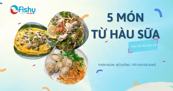 Cách Hấp Hàu Đã Tách Vỏ Chuẩn Ngon, Giữ Trọn Dưỡng Chất