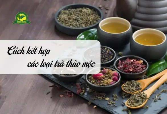 Khám Phá Nghệ Thuật Cách Kết Hợp Các Loại Trà Hoa Cho Hương Vị Hoàn Hảo