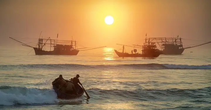 Cách Kho Cá Chuồn Với Cà Chua: Bí Quyết Giữ Nguyên Vị Ngọt Thanh, Thịt Cá Bùi Bùi