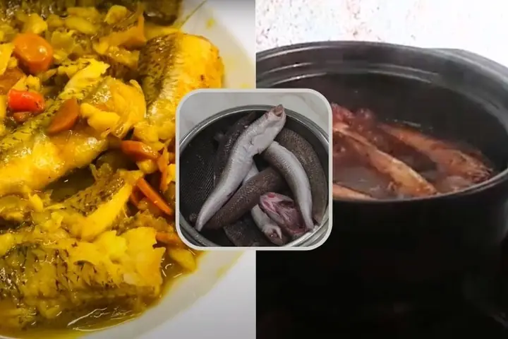 Cách Kho Cá Mối Biển Ngon Chuẩn Vị, Thịt Chắc Đậm Đà
