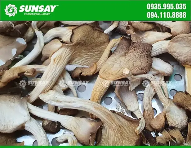 Cách Làm Bào Ngư Khô Chuẩn Vị, Giữ Nguyên Dinh Dưỡng Cho Người Sành Ẩm Thực Cách Làm Bào Ngư Khô Chuẩn Vị, Giữ Nguyên Dinh Dưỡng Cho Người Sành Ẩm Thực