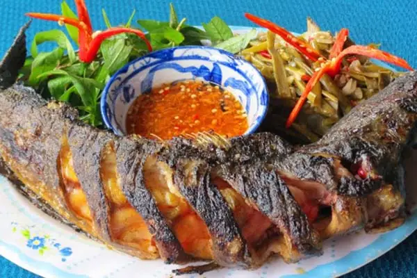 Cách Làm Cá Lóc Nướng Than Ngon Chuẩn Vị, Thịt Chín Đều, Da Giòn Rụm