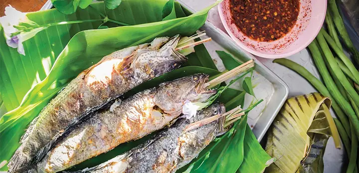 Cách Làm Cá Lóc Nướng Trui Ngon Chuẩn Vị Dân Dã Cách Làm Cá Lóc Nướng Trui Ngon Chuẩn Vị Dân Dã
