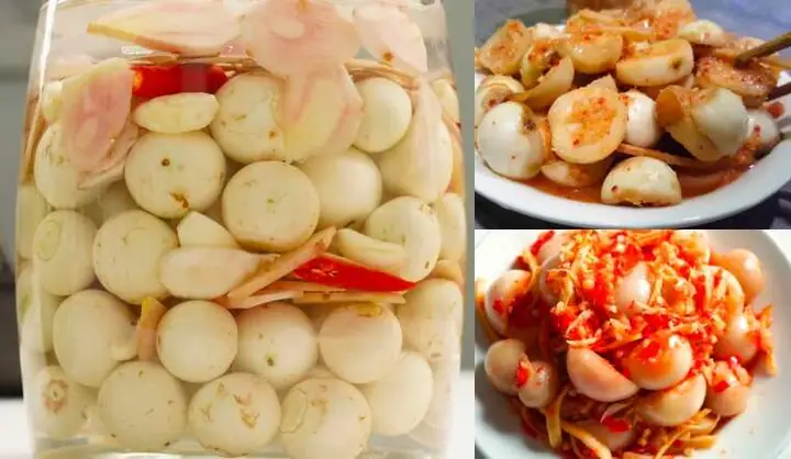 Cách Làm Cà Muối Dưa Ngon Giòn, Không Bị Váng Và Để Được Lâu