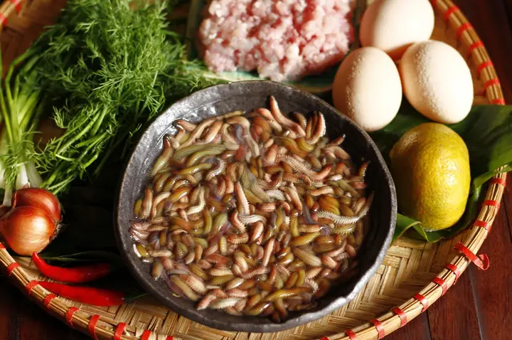 Cách Làm Chả Rươi Hà Nội Chuẩn Vị Truyền Thống