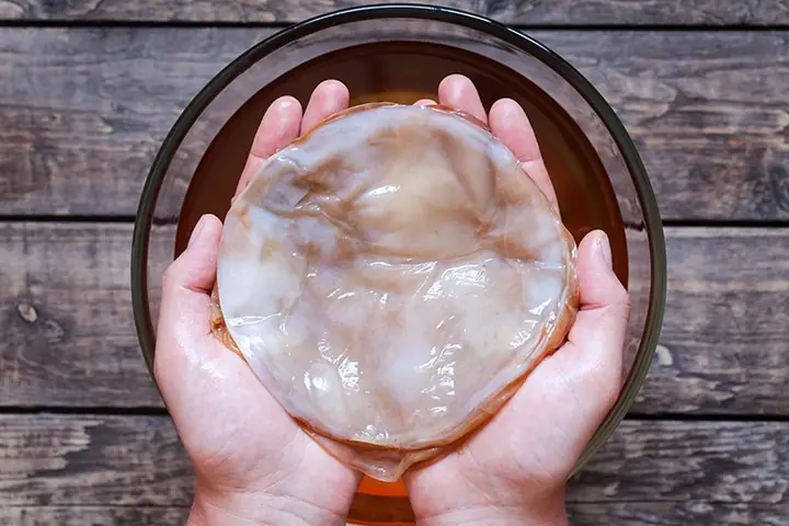 Cách Làm Con Giống Scoby Chuẩn Xác Tại Nhà Cho Người Mới Bắt Đầu